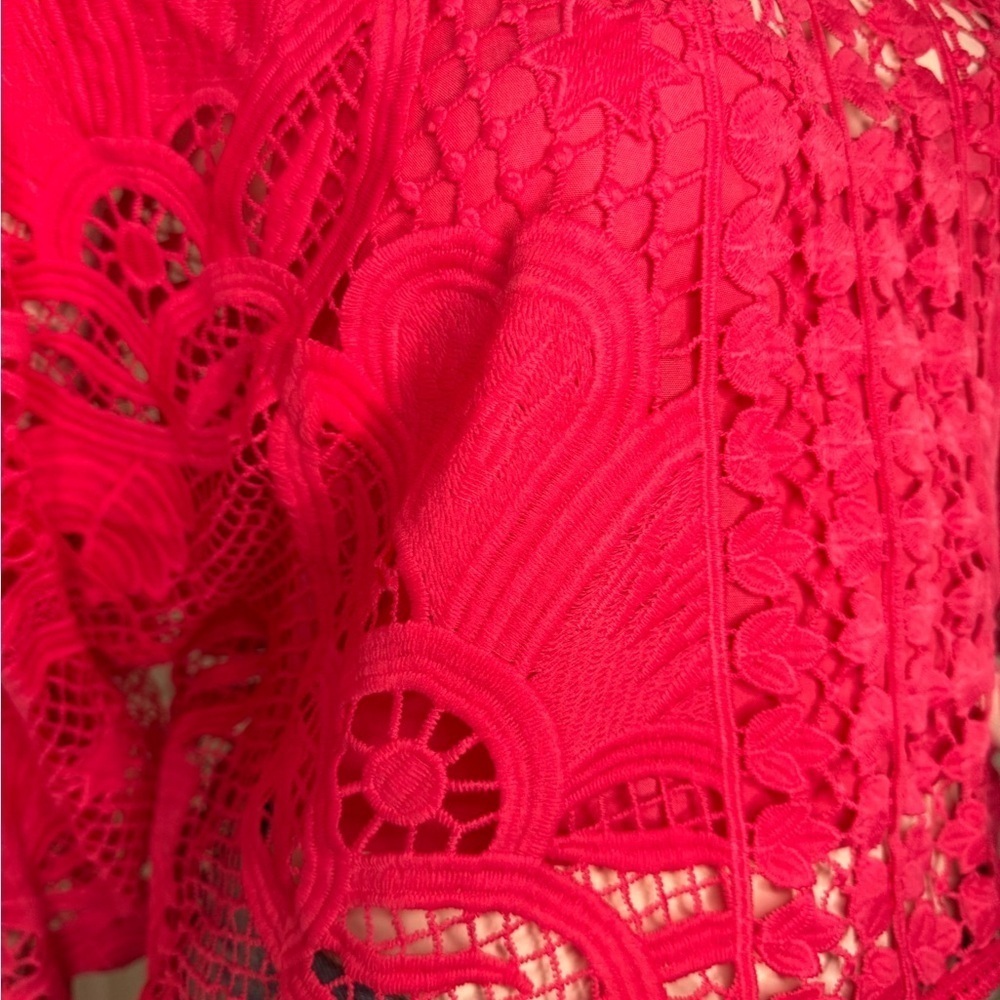 Farm Rio Boohoo Alucina Puff-Sleeve Guipure Pink Crop Top Size Small - Picture 9 of 13